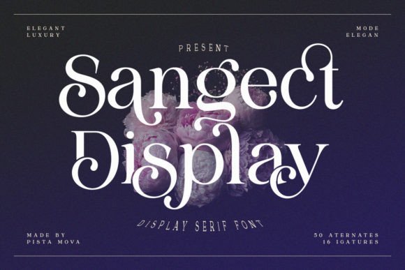 Sangect Display: A Designer’s Real-World Review